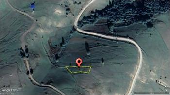 SAMSUN ALAÇAM YOĞUNPELİT KÖYÜN'DE TEK TAPU 564 M' SATILIK TARLA 