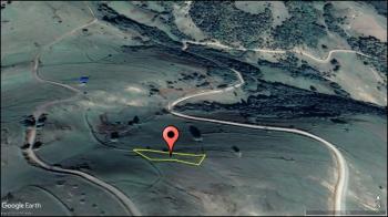 SAMSUN ALAÇAM YOĞUNPELİT KÖYÜN'DE TEK TAPU 564 M' SATILIK TARLA 