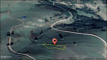 SAMSUN ALAÇAM YOĞUNPELİT KÖYÜN'DE TEK TAPU 564 M' SATILIK TARLA 