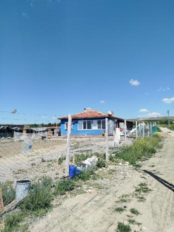 GÜVENAY - ÇORUM ÜYÜK KÖYÜ SATILIK İÇERİSİNDE 3+1 EVİ OLAN TARLA 