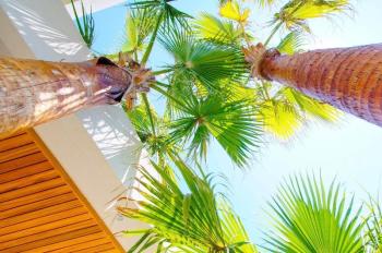 Çeşme Dalyan'da Satılık Sıfır Lüks Villa