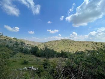 AFYON ÜÇOK EMLAKTAN BÜYÜKKALECİK TE SATILIK YOL ÜZERİ TARLA