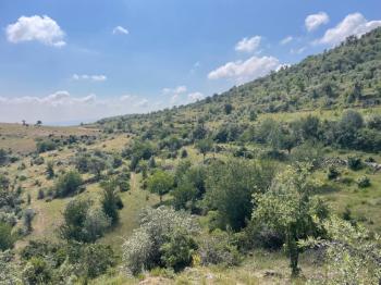 AFYON ÜÇOK EMLAKTAN BÜYÜKKALECİK TE SATILIK YOL ÜZERİ TARLA