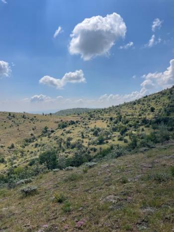 AFYON ÜÇOK EMLAKTAN BÜYÜKKALECİK TE SATILIK YOL ÜZERİ TARLA
