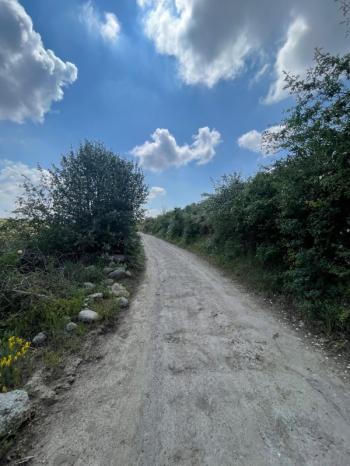 AFYON ÜÇOK EMLAKTAN BÜYÜKKALECİK TE SATILIK YOL ÜZERİ TARLA