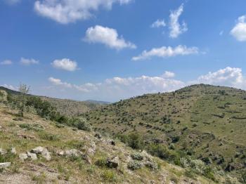 AFYON ÜÇOK EMLAKTAN BÜYÜKKALECİK TE SATILIK YOL ÜZERİ TARLA