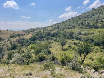 AFYON ÜÇOK EMLAKTAN BÜYÜKKALECİK TE SATILIK YOL ÜZERİ TARLA