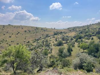 AFYON ÜÇOK EMLAKTAN BÜYÜKKALECİK TE SATILIK YOL ÜZERİ TARLA