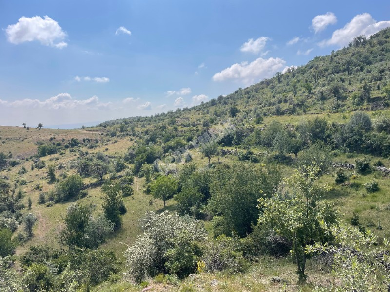 AFYON ÜÇOK EMLAKTAN BÜYÜKKALECİK TE SATILIK YOL ÜZERİ TARLA