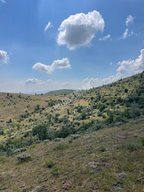 AFYON ÜÇOK EMLAKTAN BÜYÜKKALECİK TE SATILIK YOL ÜZERİ TARLA