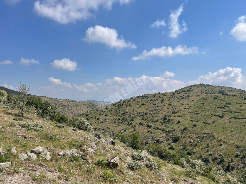 AFYON ÜÇOK EMLAKTAN BÜYÜKKALECİK TE SATILIK YOL ÜZERİ TARLA