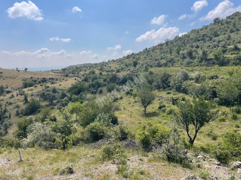 AFYON ÜÇOK EMLAKTAN BÜYÜKKALECİK TE SATILIK YOL ÜZERİ TARLA