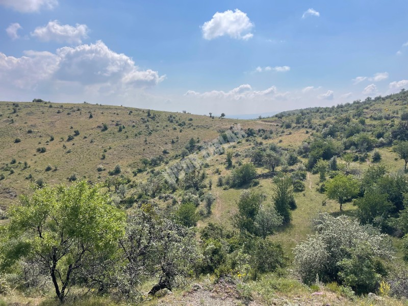 AFYON ÜÇOK EMLAKTAN BÜYÜKKALECİK TE SATILIK YOL ÜZERİ TARLA