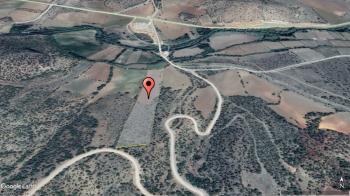 GÜVENAY – ÇORUM CEMİLBEY YOLU ÖRENCİK KÖYÜ MEVKİİ – 16.800 m² YOLA CEPHE SATILIK TARLA