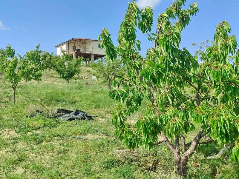 ULUKIŞLA  HÜSNİYEDE     5300 BAHÇE İÇİNDE    SATILIK EV