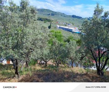 EMLAK HABERCİSİ 'NDEN BURSA-MUDANYA ANA YOLA 1 KM MESAFEDE MUDANYA IŞIKLI YOLU 'NDA  ASFALTA CEPHE 6+1 VİLLA& KONAK