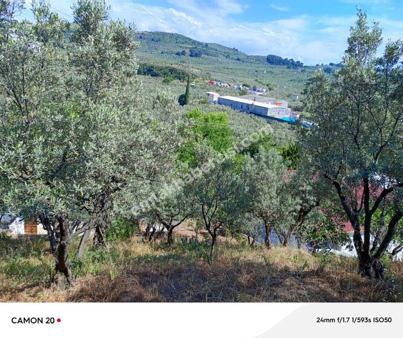 EMLAK HABERCİSİ 'NDEN BURSA-MUDANYA ANA YOLA 1 KM MESAFEDE MUDANYA IŞIKLI YOLU 'NDA  ASFALTA CEPHE 6+1 VİLLA& KONAK