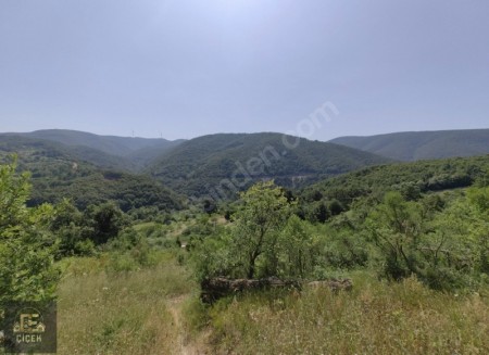 Karamürsel Safiye Köy İçi 3983 m² %5 İmarlı Tarla Satılık