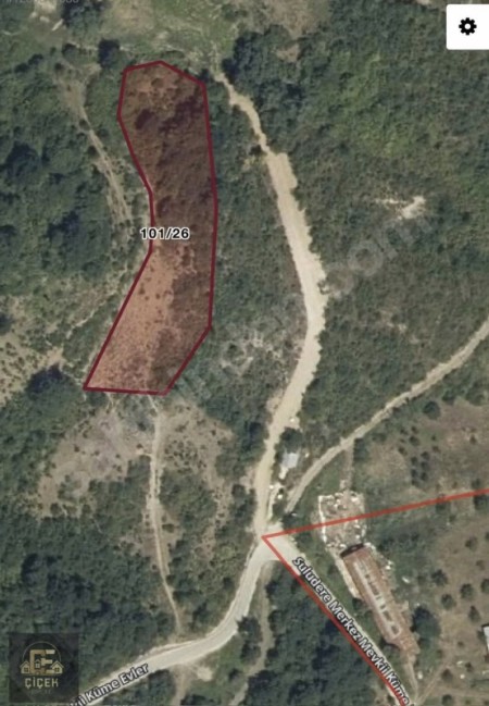 Karamürsel Safiye Köy İçi 3983 m² %5 İmarlı Tarla Satılık