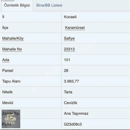 Karamürsel Safiye Köy İçi 3983 m² %5 İmarlı Tarla Satılık