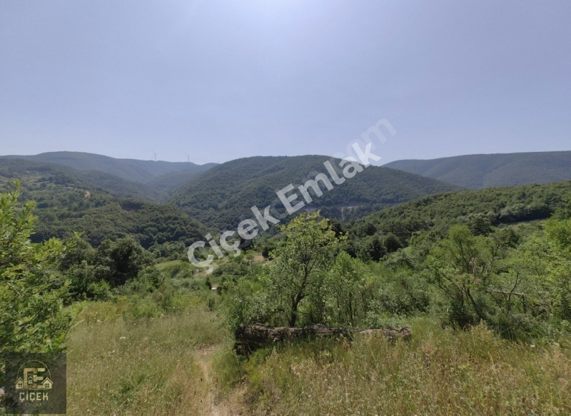 Karamürsel Safiye Köy İçi 3983 m² %5 İmarlı Tarla Satılık