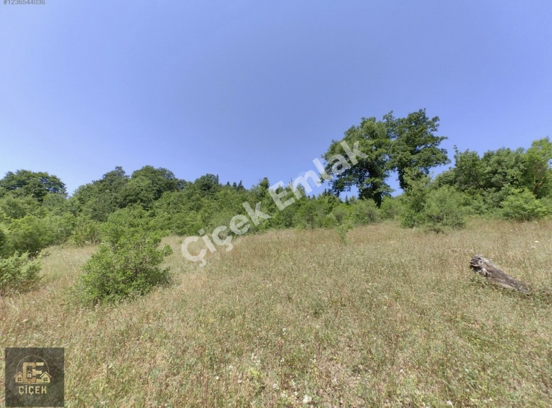 Karamürsel Safiye Köy İçi 3983 m² %5 İmarlı Tarla Satılık