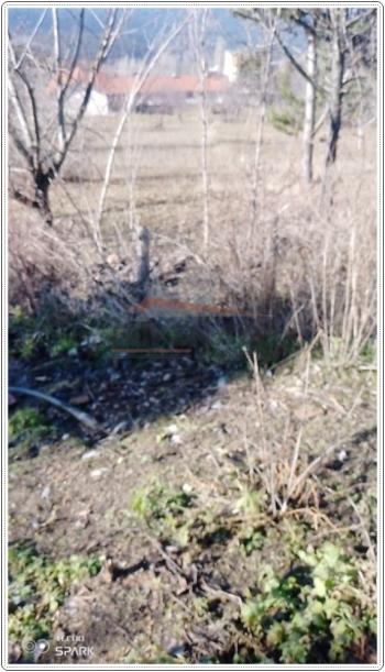 GÜVENAY - ÇORUM İSKİLİP 951 M² SATILIK BAHÇE