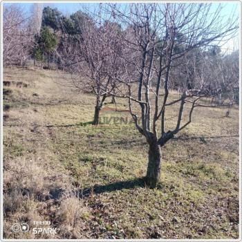 GÜVENAY - ÇORUM İSKİLİP 951 M² SATILIK BAHÇE