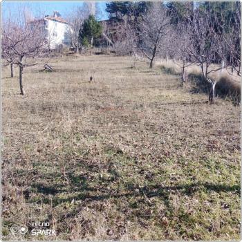 GÜVENAY - ÇORUM İSKİLİP 951 M² SATILIK BAHÇE