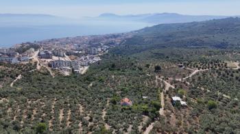 EMLAK HABERCİSİ 'NDEN MUDANYA HALİTPAŞA TAPULU, İMARA 400 METRE, DENİZ MANZARALI SATILIK 6.600 M2 ZEYTİNLİK