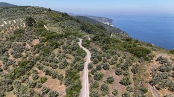 EMLAK HABERCİSİ 'NDEN MUDANYA HALİTPAŞA TAPULU, İMARA 400 METRE, DENİZ MANZARALI SATILIK 6.600 M2 ZEYTİNLİK