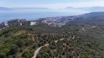 EMLAK HABERCİSİ 'NDEN MUDANYA HALİTPAŞA TAPULU, İMARA 400 METRE, DENİZ MANZARALI SATILIK 6.600 M2 ZEYTİNLİK