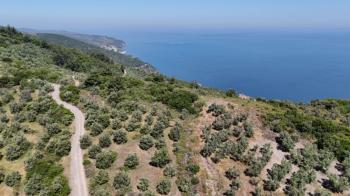 EMLAK HABERCİSİ 'NDEN MUDANYA HALİTPAŞA TAPULU, İMARA 400 METRE, DENİZ MANZARALI SATILIK 6.600 M2 ZEYTİNLİK