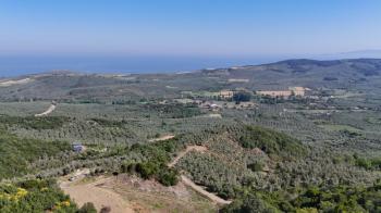 MUDANYA KETENDERE TARAFINA CEPHE FULL DENİZ MANZARALI SATILIK 11,5 DÖNÜM ZEYTİNLİK