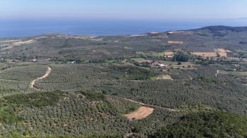 MUDANYA KETENDERE TARAFINA CEPHE FULL DENİZ MANZARALI SATILIK 11,5 DÖNÜM ZEYTİNLİK