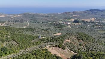 EMLAK HABERCİSİ 'NDEN MUDANYA TALATBEY 'DE KETENDERE SAHİLİNE CEPHE FULL DENİZ MANZARALI SATILIK 2 DÖNÜM ZEYTİNLİK