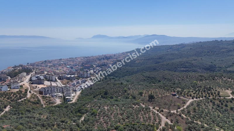 EMLAK HABERCİSİ 'NDEN MUDANYA HALİTPAŞA TAPULU, İMARA 400 METRE, DENİZ MANZARALI SATILIK 6.600 M2 ZEYTİNLİK