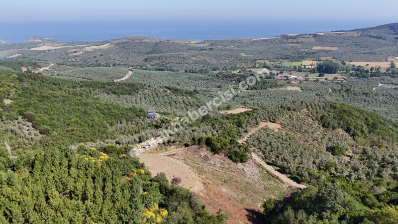 EMLAK HABERCİSİ 'NDEN MUDANYA TALATBEY 'DE KETENDERE SAHİLİNE CEPHE FULL DENİZ MANZARALI SATILIK 2 DÖNÜM ZEYTİNLİK