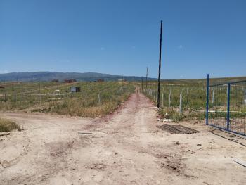 GÜVENAY – ÇORUM MERKEZ OSMANCIK YOLU ÜZERİ – SATILIK BAHÇE