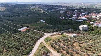 EMLAK HABERCİSİ 'NDEN MUDANYA MÜRSEL'DE KÖYİÇİNE SINIR SATILIK 3.100 M2 ARAZİ ve 2 KATLI MÜSTAKİL EV