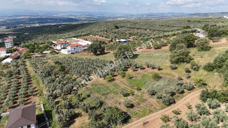 EMLAK HABERCİSİ 'NDEN MUDANYA MÜRSEL'DE KÖYİÇİNE SINIR SATILIK 3.100 M2 ARAZİ ve 2 KATLI MÜSTAKİL EV