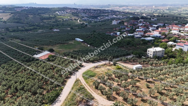 EMLAK HABERCİSİ 'NDEN MUDANYA MÜRSEL'DE KÖYİÇİNE SINIR SATILIK 3.100 M2 ARAZİ ve 2 KATLI MÜSTAKİL EV