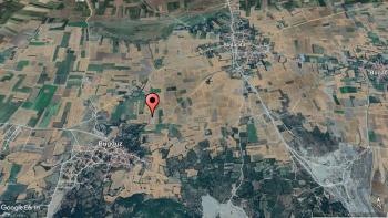 GÜVENAY – ÇORUM MERKEZ BUĞDÜZ KÖYÜ – YOL KENARI SATILIK TARLA
