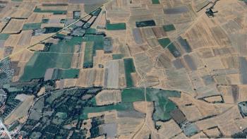 GÜVENAY – ÇORUM MERKEZ BUĞDÜZ KÖYÜ – YOL KENARI SATILIK TARLA