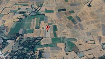 GÜVENAY – ÇORUM MERKEZ BUĞDÜZ KÖYÜ – YOL KENARI SATILIK TARLA