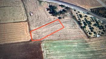 Mağusa Yıldırım'da 1355 m2 Kelepir Fiyata Satılık Tarla