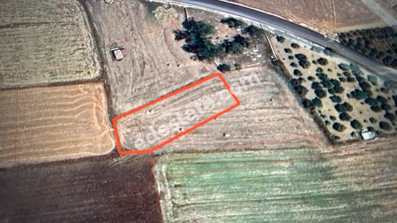 Mağusa Yıldırım'da 1355 m2 Kelepir Fiyata Satılık Tarla