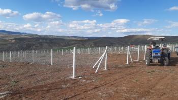 ÇORUM MERKEZE 5 KM MESAFEDE SARMAŞA MEVKİ SATILIK HOBİ BAHÇELERİ