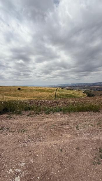 GÜVENAY – ÇORUM MERKEZ SERPİN KÖYÜ CİVARI – SATILIK 400 M² HOBİ BAHÇESİ