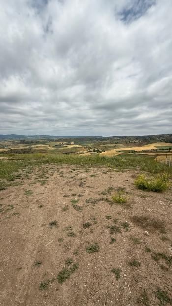 GÜVENAY – ÇORUM MERKEZ SERPİN KÖYÜ CİVARI – SATILIK 400 M² HOBİ BAHÇESİ